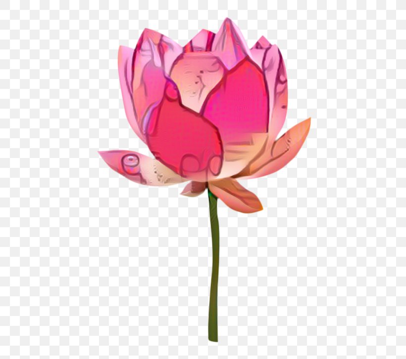 Water Paint Flowers, PNG, 500x727px, Nymphaea Nelumbo, Aquatic Plant, Bud, Cut Flowers, Drawing Download Free