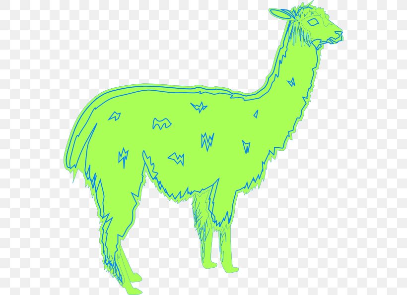 Clip Art Llama Illustration Image Vector Graphics, PNG, 564x595px, Llama, Animal Figure, Camel Like Mammal, Carnivoran, Cartoon Download Free