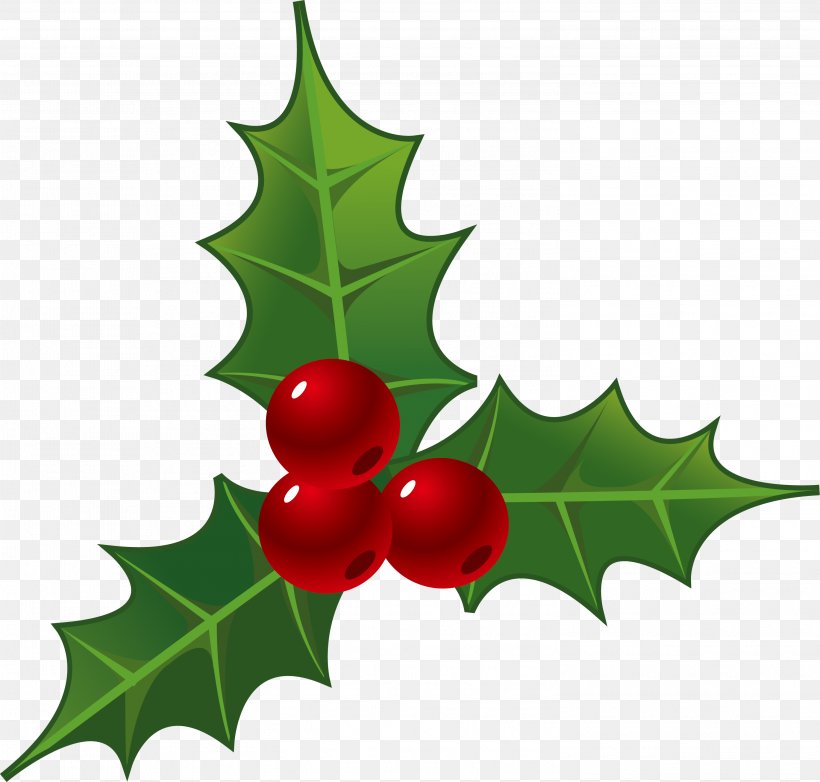 Holly Decorations For Christmas, PNG, 3001x2865px, Common Holly, Aquifoliaceae, Aquifoliales, Christmas, Christmas Decoration Download Free