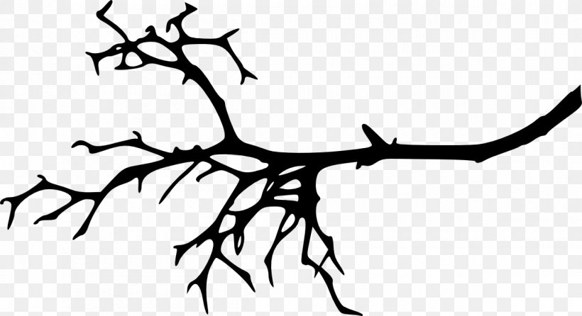 Twig Branch Clip Art Tree, PNG, 1200x653px, Twig, Art, Blackandwhite, Botany, Branch Download Free