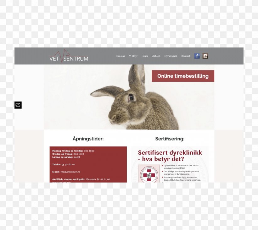 Web Development WordPress Domestic Rabbit Corporate Website, PNG, 1815x1622px, Web Development, Brand, Client, Corporate Website, Domestic Rabbit Download Free