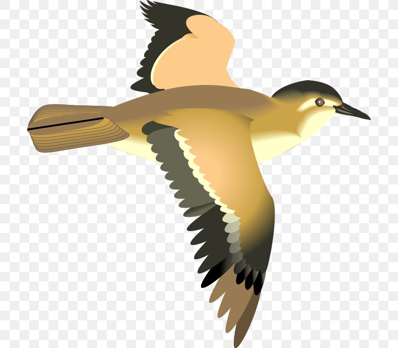 Bird Flight Bird Flight Gulls Clip Art, PNG, 708x717px, Bird, Animation, Beak, Bird Flight, Duck Download Free