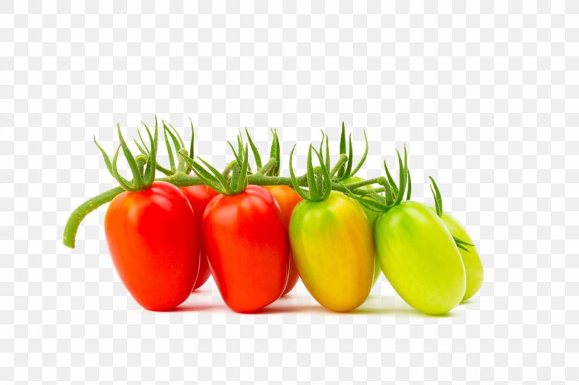 Cherry Tomato Common Grape Vine Ripening Fruit Vegetable, PNG, 1000x666px, Cherry Tomato, Bell Pepper, Bell Peppers And Chili Peppers, Common Grape Vine, Diet Food Download Free