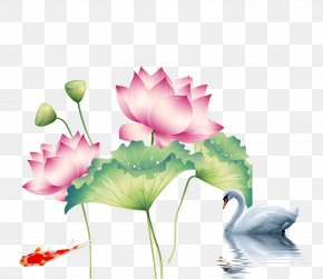 Lotus Goldfish Swan - China Europe U756bu8377u82b1 Falun Gong Painting PNG