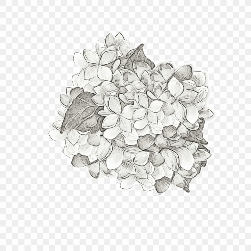 Drawing /m/02csf PNG