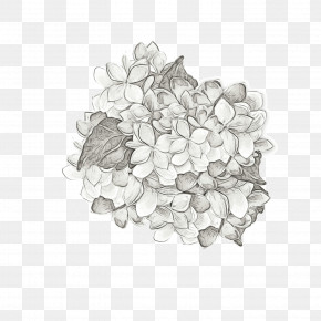 Drawing /m/02csf PNG