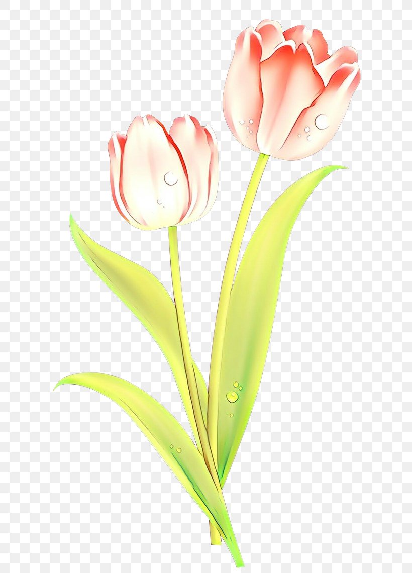 Flower Flowering Plant Tulip Cut Flowers Plant, PNG, 658x1140px, Cartoon, Cut Flowers, Flower, Flowering Plant, Pedicel Download Free