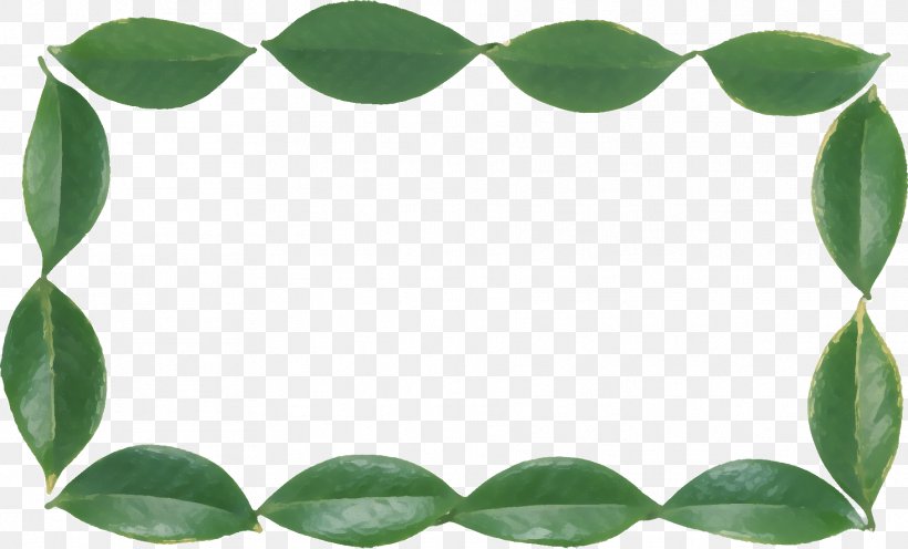 Leaf Picture Frames, PNG, 1816x1100px, Leaf, Branch, Computer Software, Document, Grass Download Free