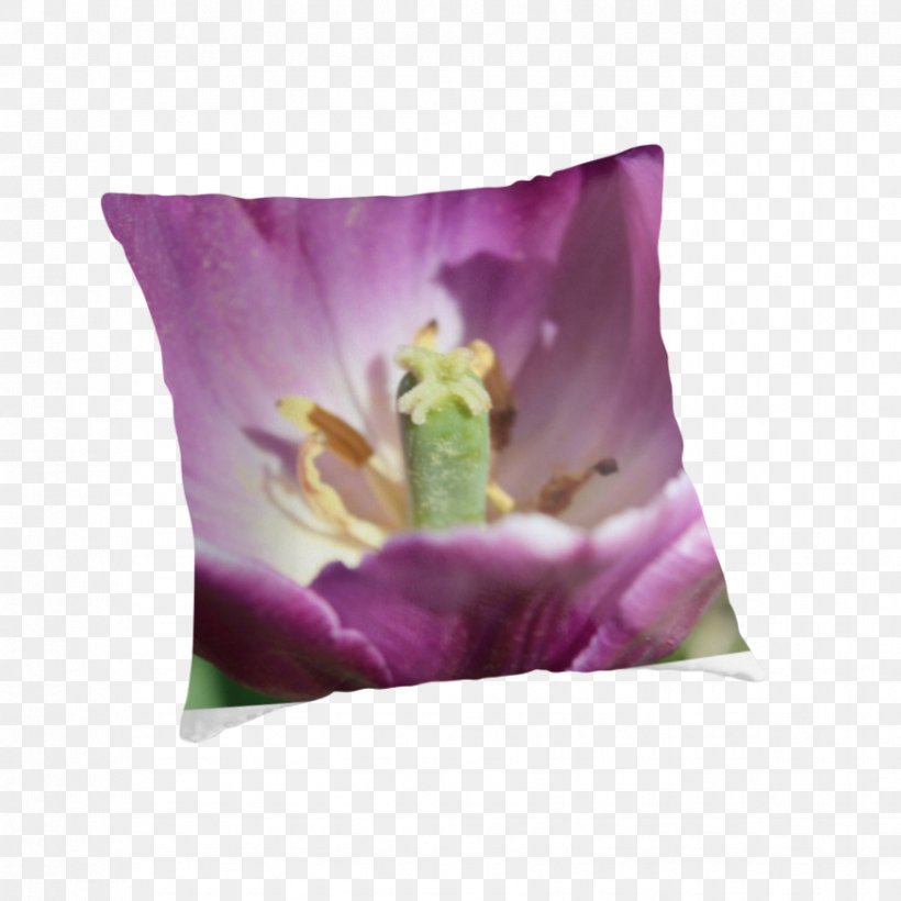 Lilac Lavender Violet Cushion Magenta, PNG, 875x875px, Lilac, Cushion, Flower, Flowering Plant, Lavender Download Free