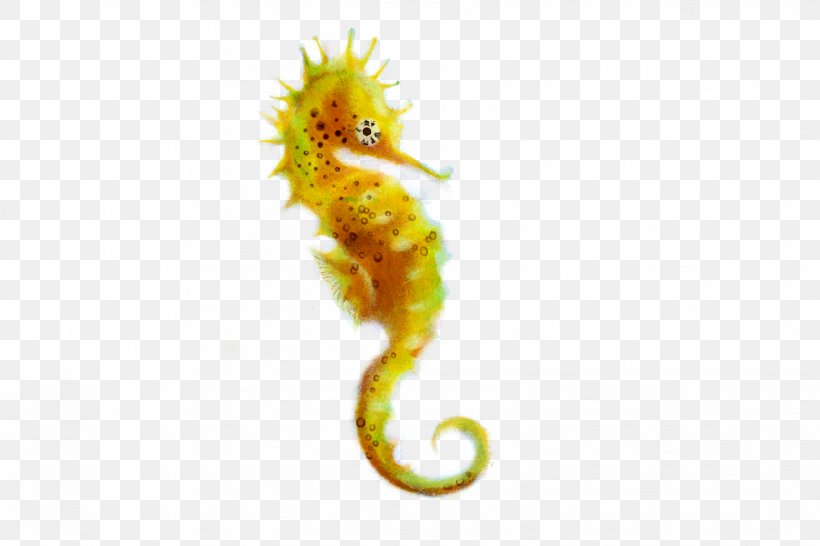Seahorse Clip Art, PNG, 1134x756px, Seahorse, Document, Fundal, Organism, Presentation Download Free