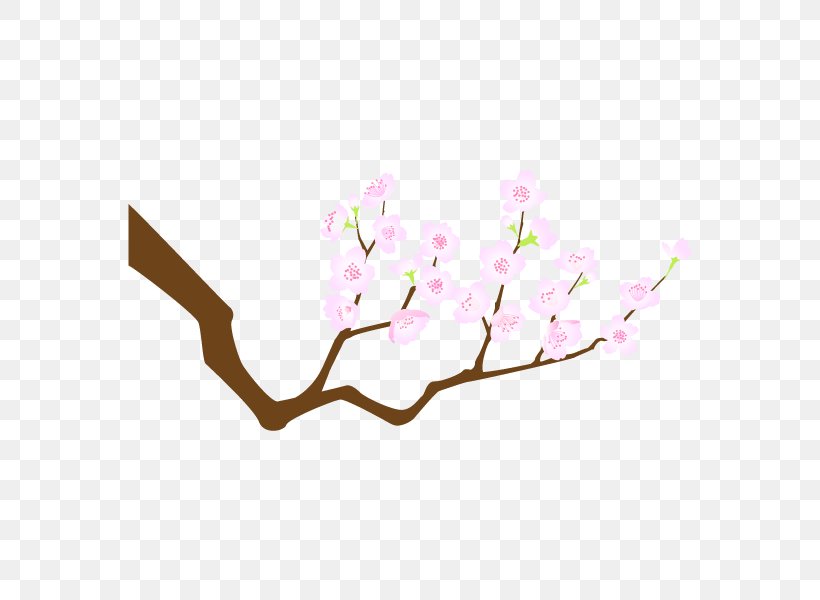 Cherry Blossom Japan Design Vector Graphics Illustration, PNG, 600x600px, Cherry Blossom, Blossom, Branch, Cartoon, Cherries Download Free
