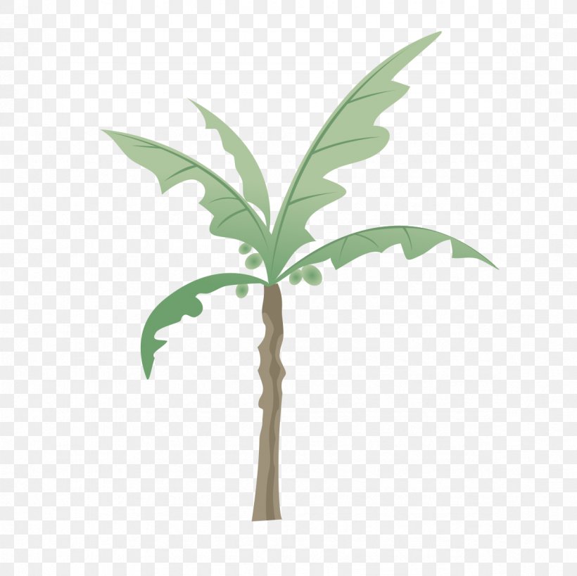 Branch Tree Coconut, PNG, 1181x1181px, Branch, Arecaceae, Coconut, Grass, Green Download Free