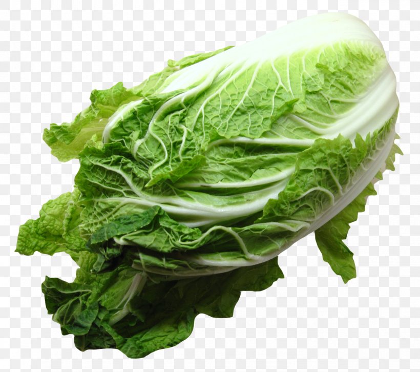 Romaine Lettuce Vegetarian Cuisine Cabbage Collard Greens, PNG, 1278x1132px, Vegetable, Brassica Juncea, Cabbage, Chard, Chinese Cabbage Download Free
