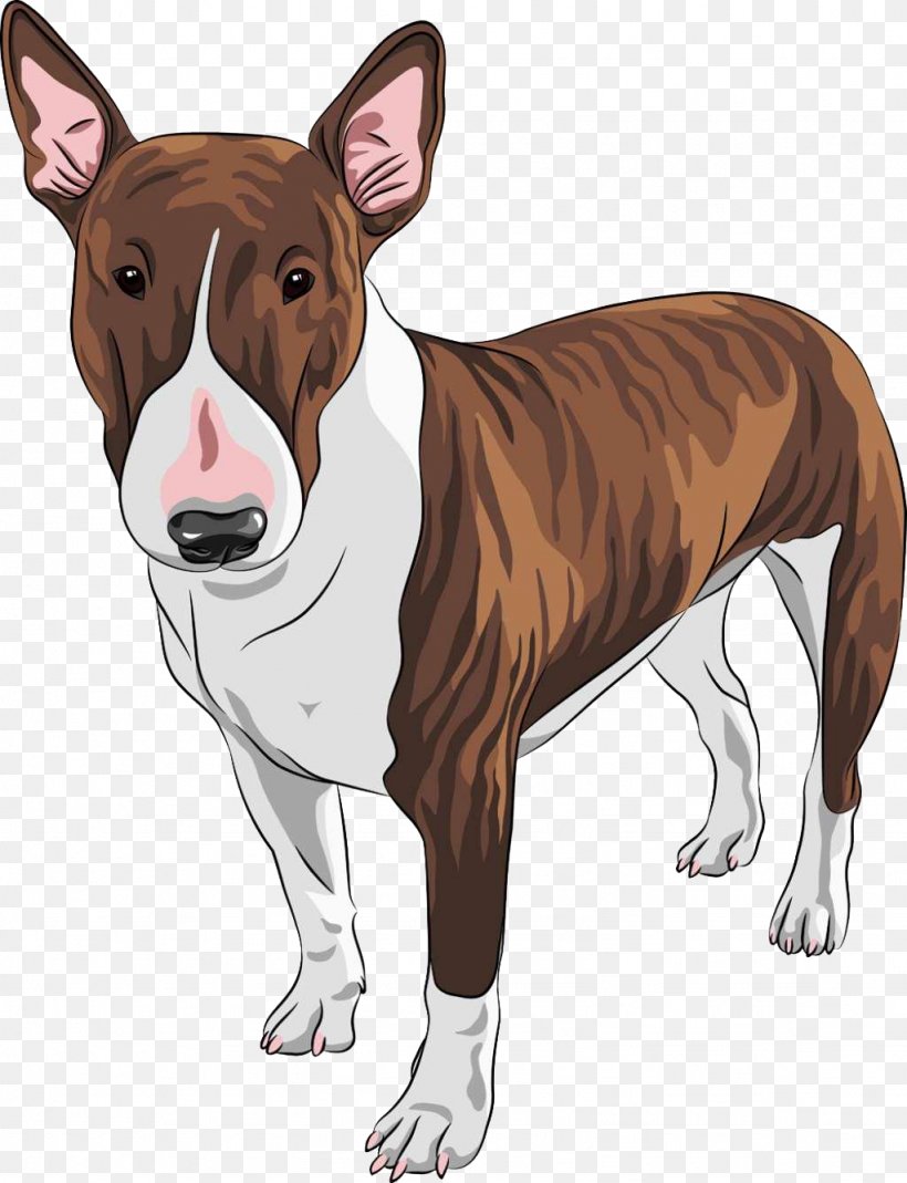 Staffordshire Bull Terrier Pit Bull English Toy Terrier Bulldog, PNG, 1024x1336px, Bull Terrier, Bull Terrier Miniature, Bulldog, Carnivoran, Dog Download Free