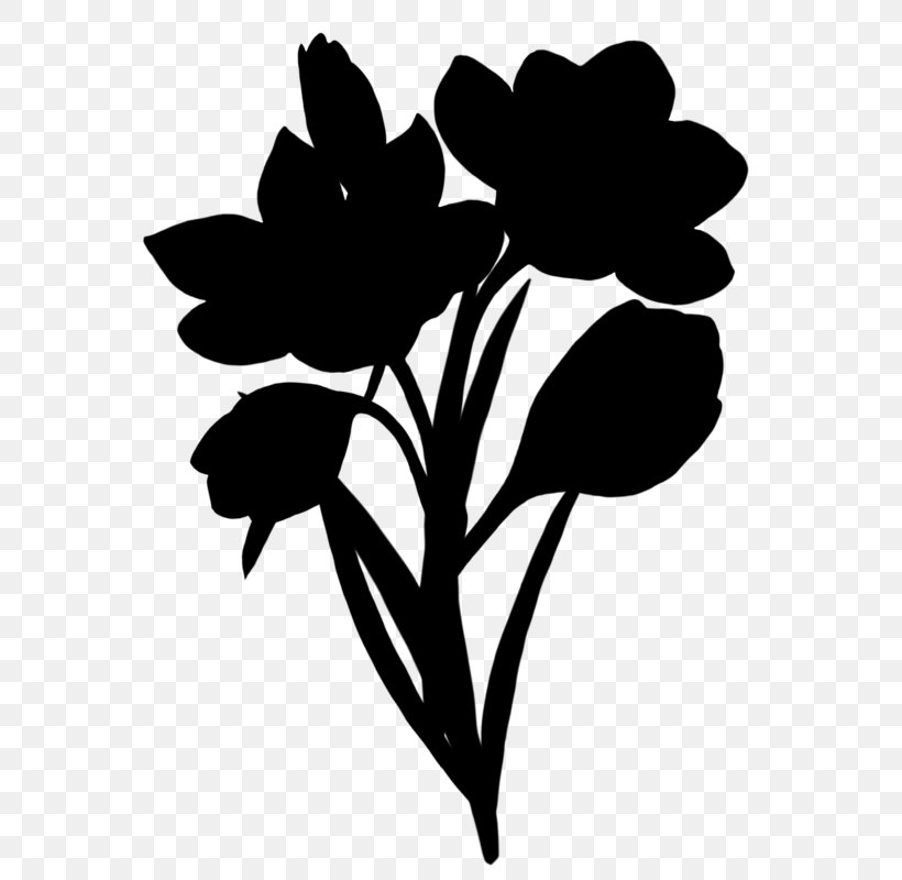 Clip Art Black & White, PNG, 579x800px, Black White M, Blackandwhite, Botany, Flower, Flowering Plant Download Free