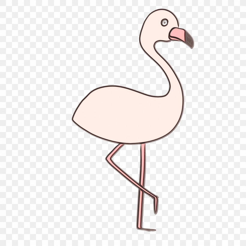 Flamingo, PNG, 1200x1200px, Watercolor, Beak, Biology, Birds, Crane Download Free