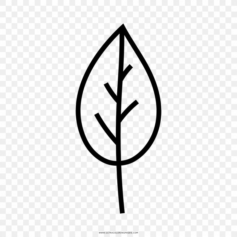 Leaf Tree Drawing Coloring Book, PNG, 1000x1000px, Leaf, Area, Ausmalbild, Black And White, Book Download Free