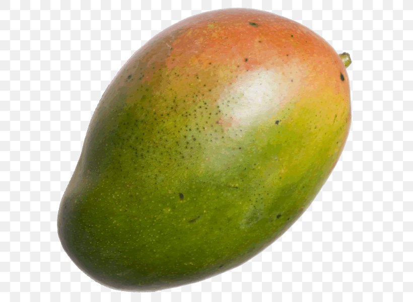 Mango, PNG, 622x600px, Mango, Food, Fruit Download Free