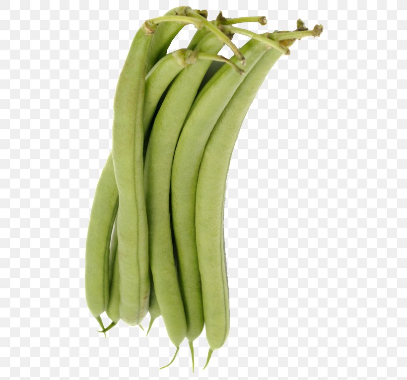 Snap Pea Green Bean Common Bean Cooking Banana Saba Banana, PNG, 500x766px, Snap Pea, Baghdad, Banana, Banana Family, Bean Download Free
