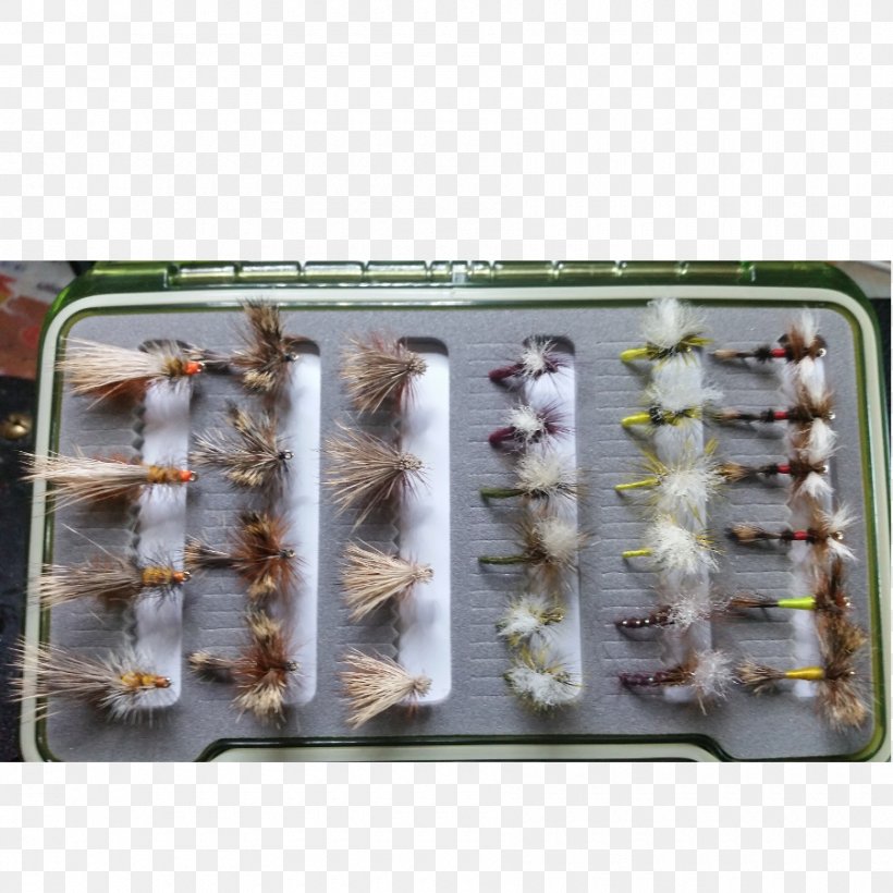 Fly Fishing Nymph Box Set, PNG, 900x901px, Fly Fishing, Animal Source Foods, Box, Box Set, Cargo Download Free