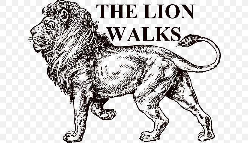 Lion Drawing Sketch, PNG, 640x471px, Lion, Art, Artwork, Big Cats, Black And White Download Free