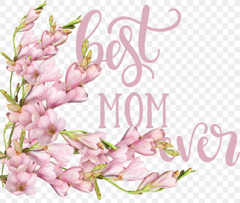Mothers Day Best Mom Ever Mothers Day Quote, PNG, 3000x2545px, Mothers Day, Arrangement, Best Mom Ever, Blossom, Cut Flowers Download Free