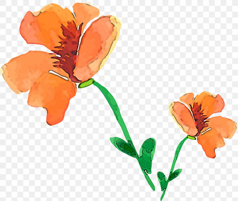 Orange, PNG, 1539x1299px, Flower, Cut Flowers, Orange, Pedicel, Petal Download Free