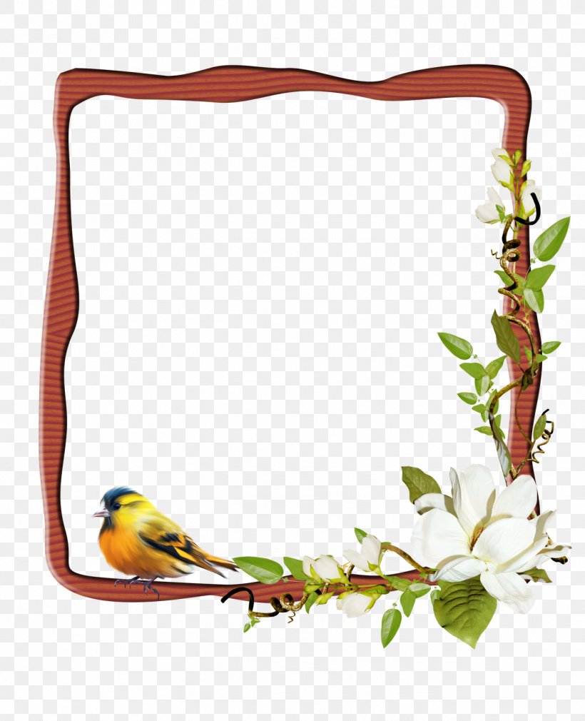 Picture Frames Photography, PNG, 1298x1600px, Picture Frames, Beak, Bird, Branch, Digital Photo Frame Download Free