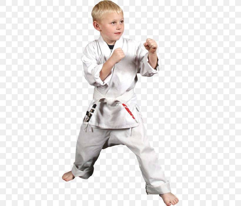 The Karate Kid Dobok Martial Arts Child, PNG, 397x700px, Karate, Arm, Boy, Brazilian Jiujitsu, Child Download Free