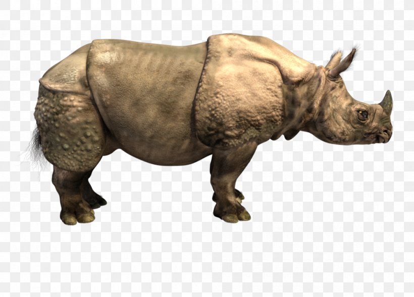Horn Elasmotherium Indian Rhinoceros Woolly Rhinoceros Sumatran Rhinoceros, PNG, 1000x719px, Horn, Black Rhinoceros, Elasmotherium, Elephant, Fauna Download Free