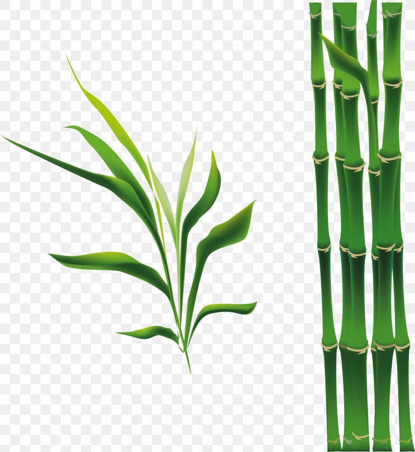 Bamboo Bamboe Drawing, PNG, 2080x2268px, Bamboo, Animation, Bamboe, Cartoon, Drawing Download Free