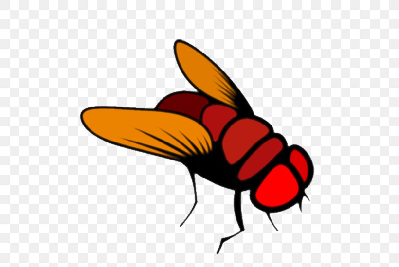 Common Fruit Fly Brain Hackathon, PNG, 549x549px, Fly, Artwork, Beak, Bee Flies, Brain Download Free