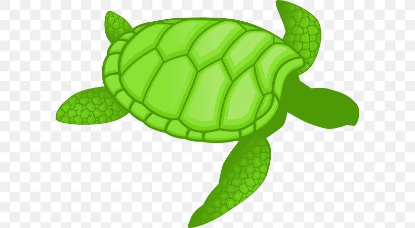 Green Sea Turtle Clip Art Drawing, PNG, 600x451px, Turtle, Drawing, Green, Green Sea Turtle, Kemps Ridley Sea Turtle Download Free