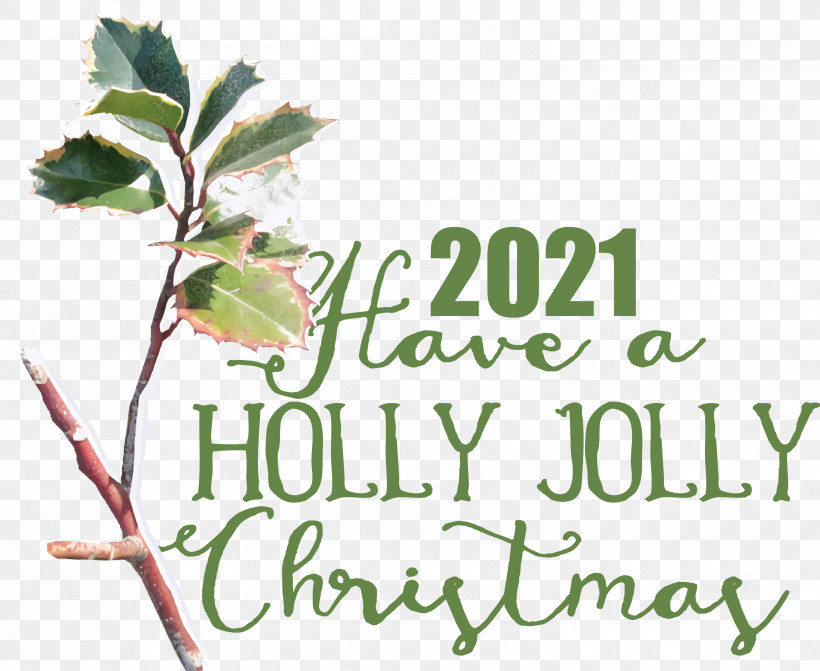 Holly Jolly Christmas, PNG, 3000x2457px, Holly Jolly Christmas, Biology, Flower, Leaf, Plant Download Free