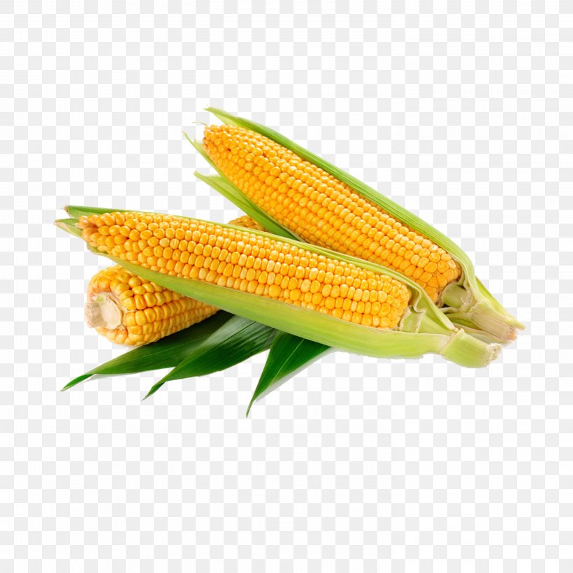 Waxy Corn Vegetable Crop Food Sweet Corn, PNG, 2953x2953px, Waxy Corn, Caryopsis, Coix Lacrymajobi, Commodity, Corn On The Cob Download Free
