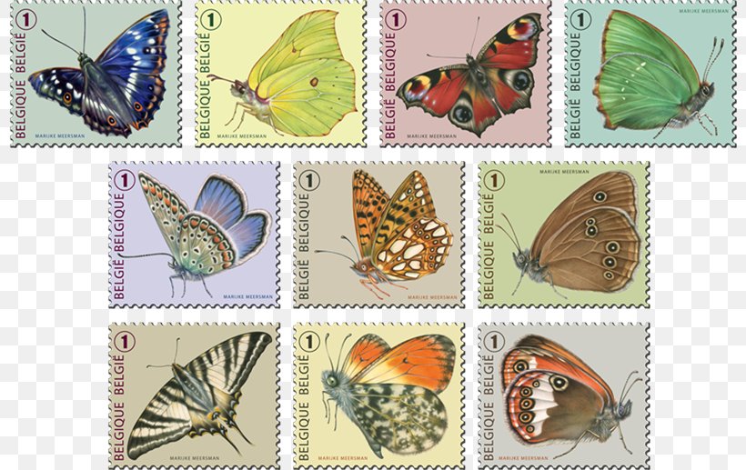 Belgium Postage Stamps Mail Post Cards Illustrator, PNG, 800x517px, Belgium, Bpost, Butterflies And Moths, Butterfly, Fauna Download Free