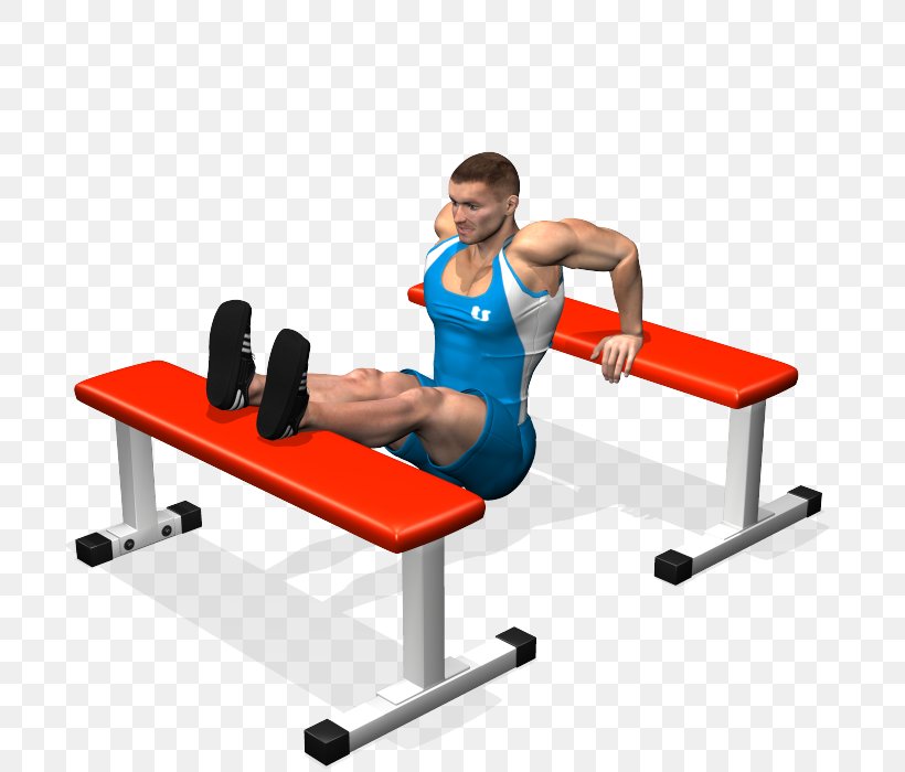 Dip Bench Press Triceps Brachii Muscle Lying Triceps Extensions, PNG, 700x700px, Dip, Arm, Balance, Bench, Bench Press Download Free