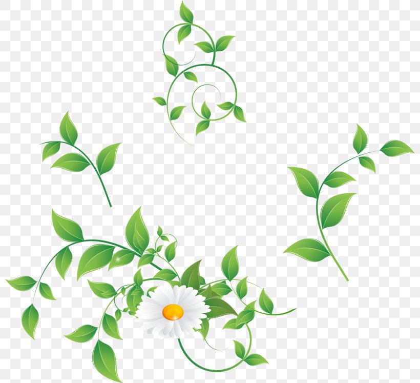 Floral Design Green Flower Stock Photography, PNG, 800x747px, Floral Design, Alamy, Artwork, Branch, Chamomile Download Free