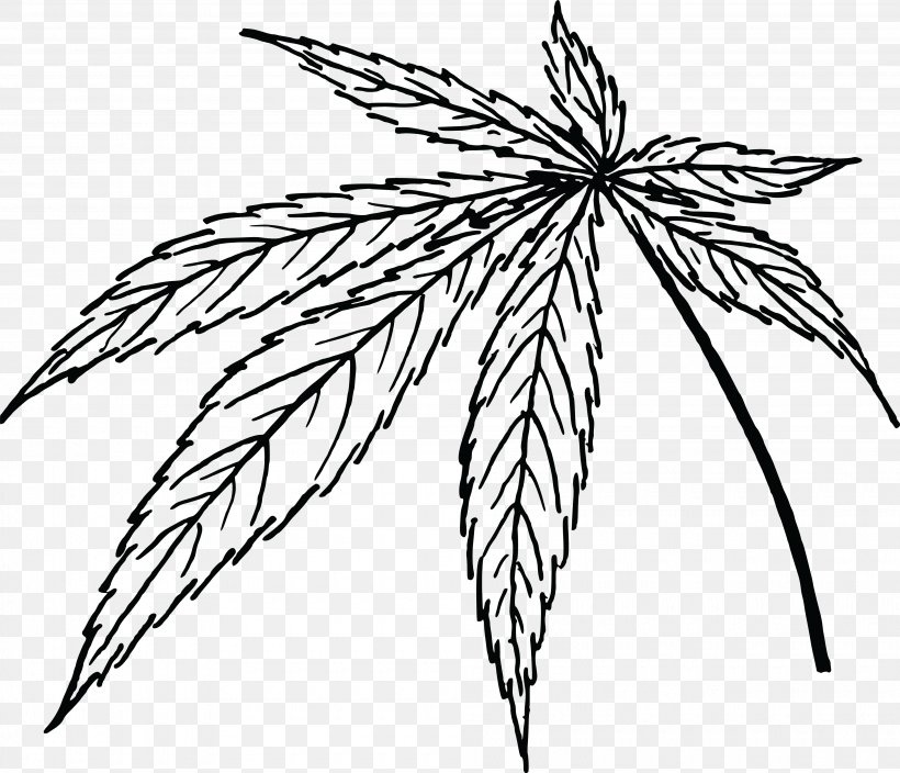 Leaf Marijuana Cannabis Sativa Clip Art, PNG, 4000x3438px, Leaf, Black And White, Branch, Cannabis, Cannabis Sativa Download Free