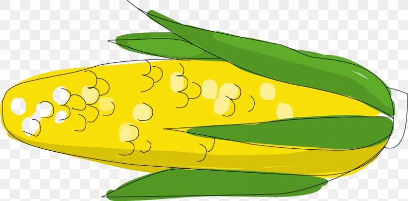 Maize Cartoon Food Illustration, PNG, 844x416px, Maize, Cartoon, Cereal, Corn Kernel, Crop Download Free