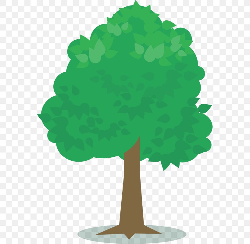 Tree Planting Oak Clip Art, PNG, 620x800px, Tree, Albizia Julibrissin, Arbor Day, Branch, Fruit Tree Download Free