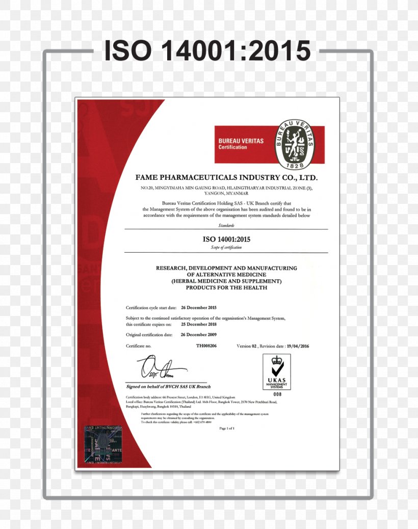 Certification ISO 9000 Quality Management ISO 14000, PNG, 975x1235px, Certification, Advertising, Brand, Business, Diagram Download Free