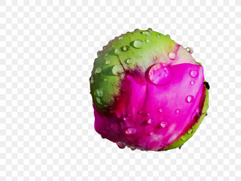 Fruit Magenta Telekom, PNG, 1920x1440px, Watercolor, Fruit, Magenta Telekom, Paint, Wet Ink Download Free