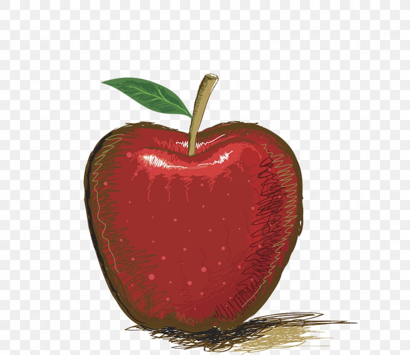 Drawing Apple Illustration, PNG, 883x765px, Drawing, Apple, Cartoon, Food, Fruit Download Free