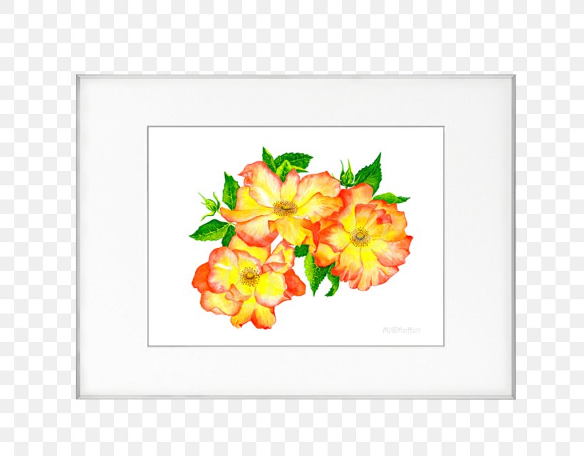 Floral Design Cut Flowers Picture Frames Petal Pattern, PNG, 673x640px, Floral Design, Cut Flowers, Flora, Floristry, Flower Download Free
