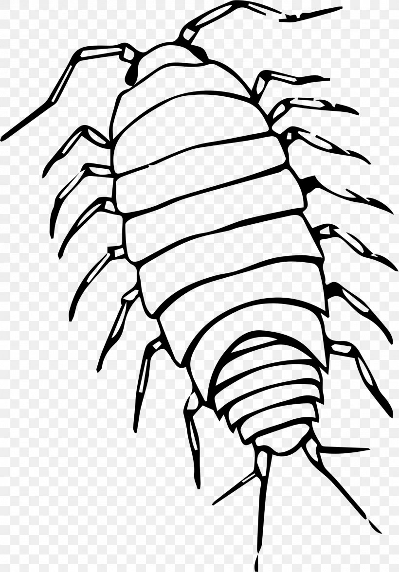 Pill Bugs Black And White Roly-poly Clip Art, PNG, 1384x1985px, Pill Bugs, Animal, Artwork, Black And White, Branch Download Free