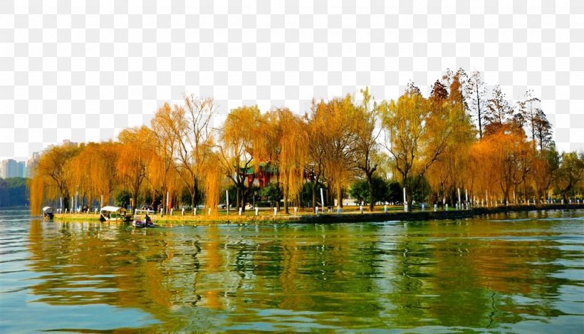 Wuhan University East Lake Wuchang District West Lake Yangtze, PNG, 1024x586px, Wuhan University, Aaaaa Tourist Attractions Of China, Bank, Bayou, Canal Download Free