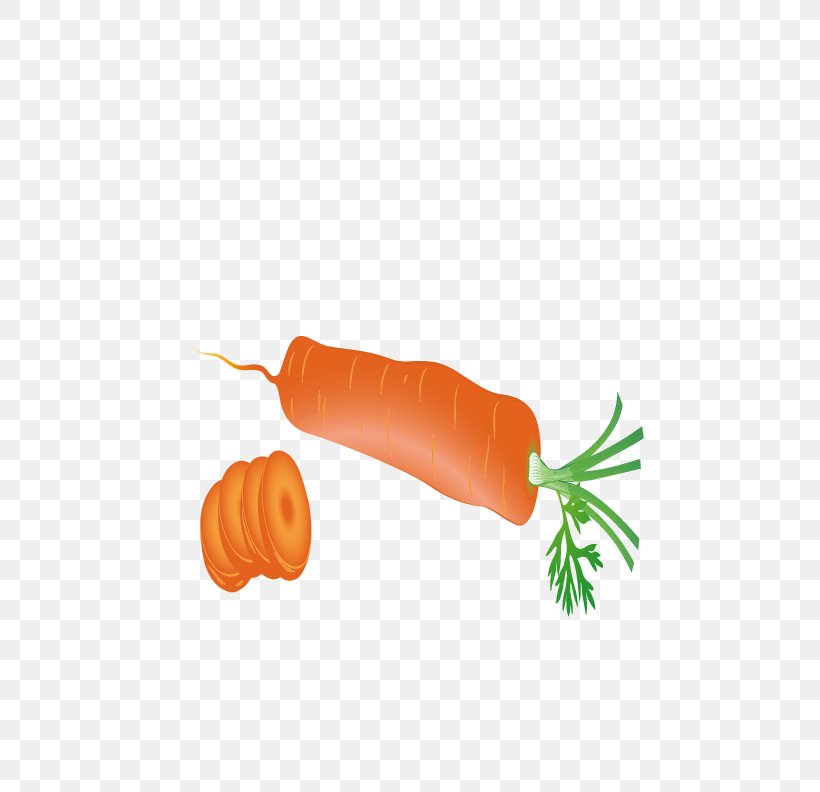 Carrot Download, PNG, 612x792px, Carrot, Food, Fruit, Material, Orange Download Free