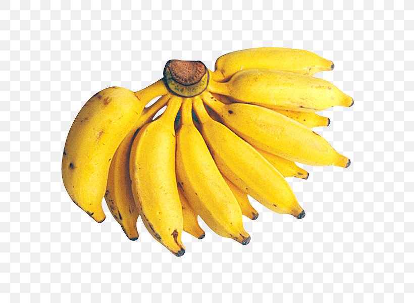 Dwarf Cavendish Banana Fruit Cooking Banana Lady Finger Banana, PNG, 600x600px, Dwarf Cavendish Banana, Avocado, Banana, Banana Family, Cavendish Banana Download Free