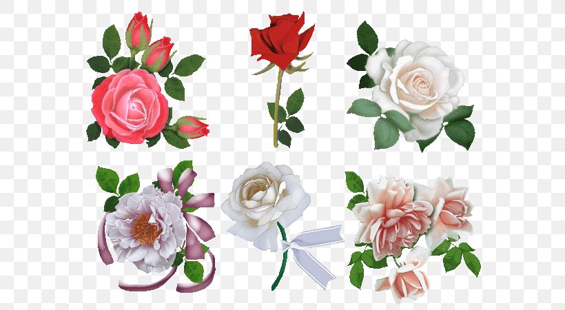 Garden Roses Beach Rose Cut Flowers Floral Design, PNG, 600x450px, Garden Roses, Artificial Flower, Beach Rose, Centifolia Roses, Cut Flowers Download Free